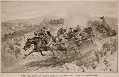 The Disaster at Koornspruit: Driverless Teams Stampeding by John Charlton